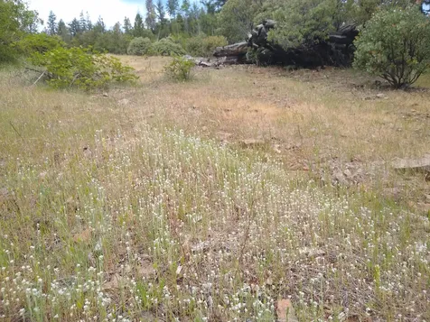 0 Map&taxlot 332e09 600, Highway 62 Prospect OR 97536