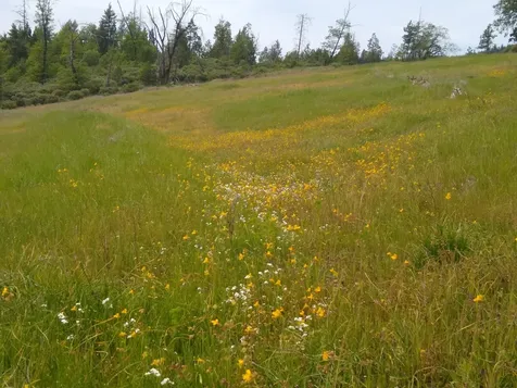 0 Map&taxlot 332e09 600, Highway 62 Prospect OR 97536