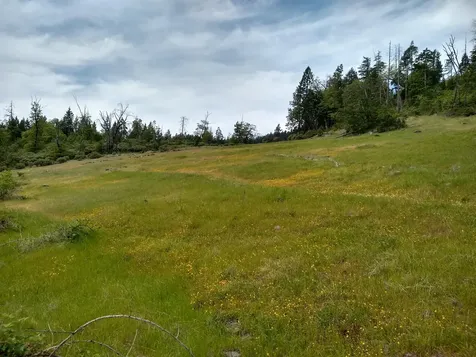 0 Map&taxlot 332e09 600, Highway 62 Prospect OR 97536