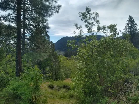 0 Map&taxlot 332e09 600, Highway 62 Prospect OR 97536