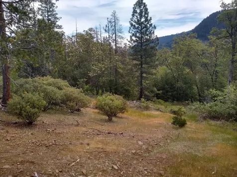 0 Map&taxlot 332e09 600, Highway 62 Prospect OR 97536