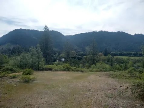 0 Map&taxlot 332e09 600, Highway 62 Prospect OR 97536