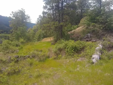 0 Map&taxlot 332e09 600, Highway 62 Prospect OR 97536