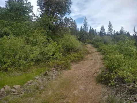 0 Map&taxlot 332e09 600, Highway 62 Prospect OR 97536