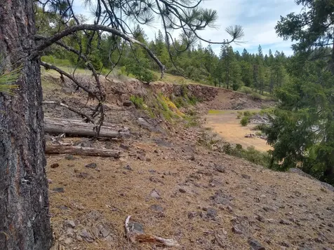 0 Map&taxlot 332e09 600, Highway 62 Prospect OR 97536