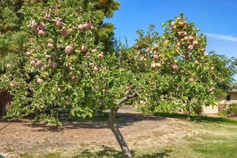 2045 E Main Street Ashland OR 97520