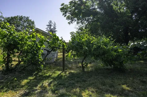 2988 Madrona Lane Medford OR 97501