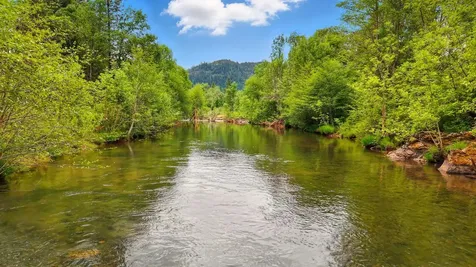 850 Elk Creek Road Trail OR 97541
