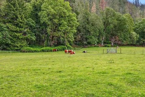 850 Elk Creek Road Trail OR 97541