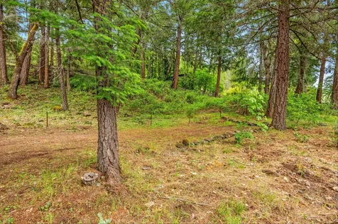 850 Elk Creek Road Trail OR 97541