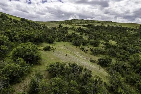 2800 Dead Indian Memorial Road Ashland OR 97520