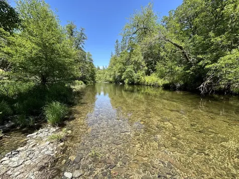 15551 E Evans Creek Road Rogue River OR 97537