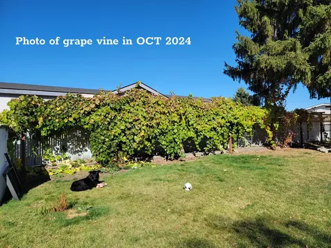3809 Mazama Drive Klamath Falls OR 97603
