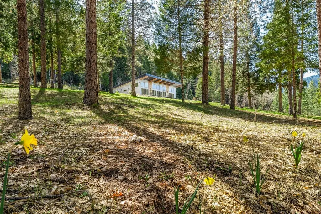 24100 E Evans Creek Road White City OR 97503