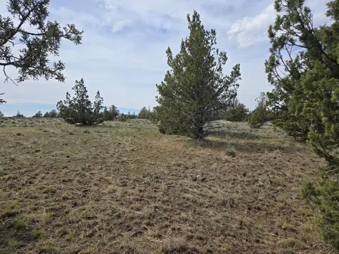 SE Hilltop Road Prineville OR 97754