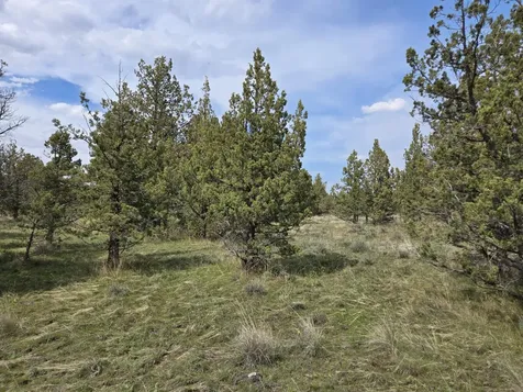 SE Hilltop Road Prineville OR 97754