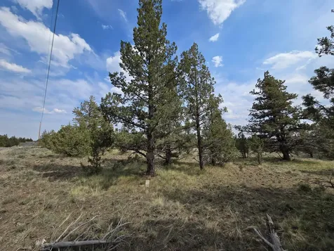 SE Hilltop Road Prineville OR 97754