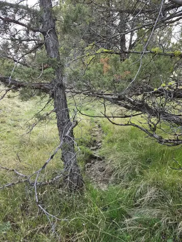 SE Hilltop Road Prineville OR 97754