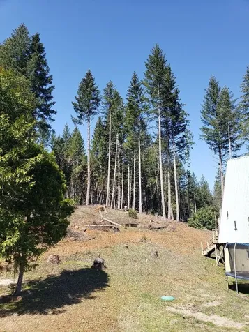 3160 Rockydale Road Cave Junction OR 97523
