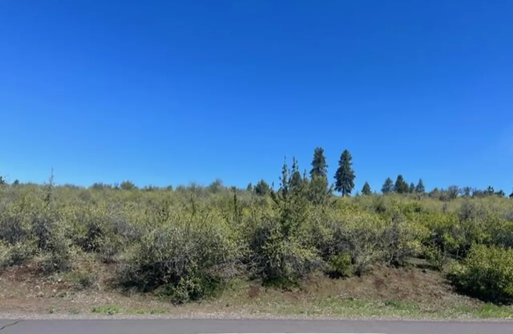 Crossbill Drive Klamath Falls OR 97601