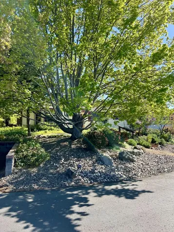 2406 Senate Way Medford OR 97504