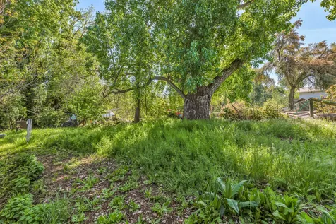 3089 Highway 66 Ashland OR 97520