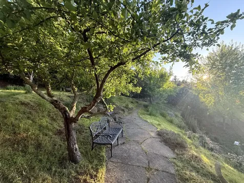 1924 Mohawk Street Ashland OR 97520