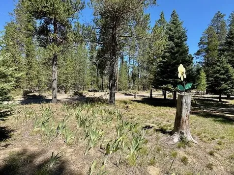 15681 Blue Bird Lane La Pine OR 97739