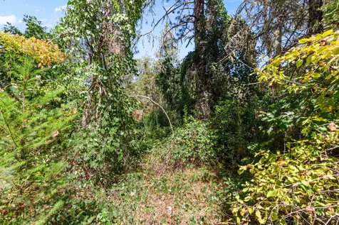 0 Hogan Road Applegate OR 97530