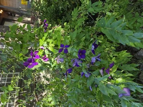 981 Wild Plum Alley Klamath Falls OR 97601
