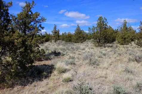 Tl 1501 Bluebird Drive Prineville OR 97754