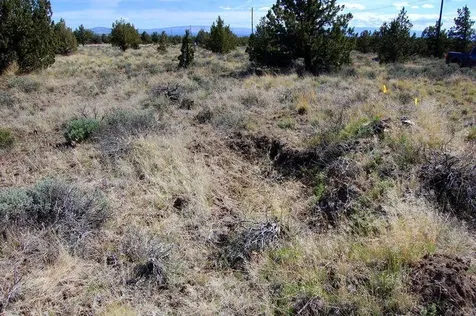 Tl 1501 Bluebird Drive Prineville OR 97754