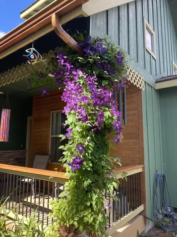 147 S Main Street Prineville OR 97754