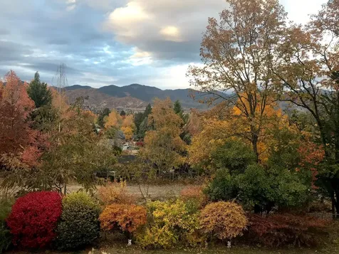 219 Bluebell Lane Grants Pass OR 97527