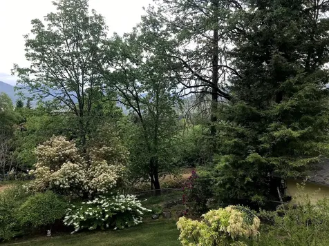 219 Bluebell Lane Grants Pass OR 97527