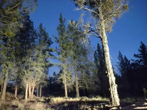 NW Circle Street Prineville OR 97754