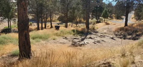 NW Circle Street Prineville OR 97754