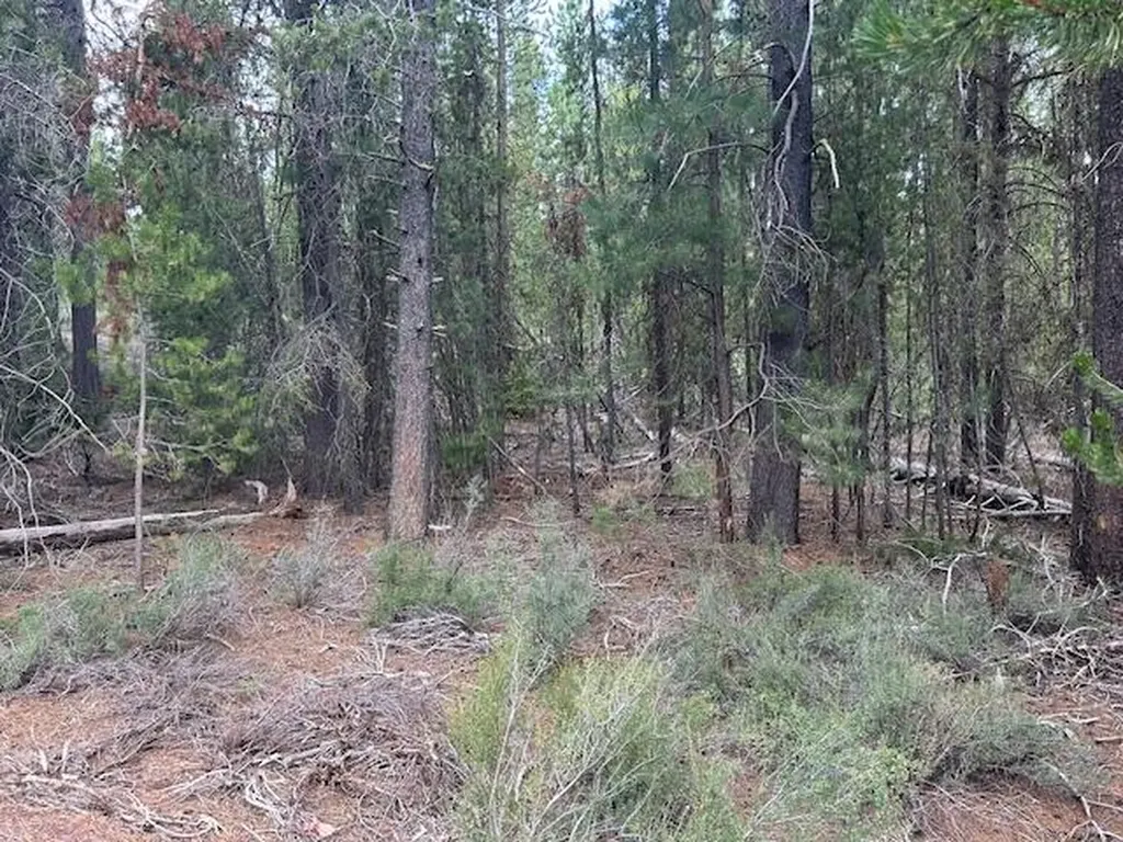 400 Highway 58 Crescent Lake OR 97733