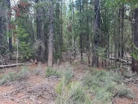 400 Highway 58 Crescent Lake OR 97733