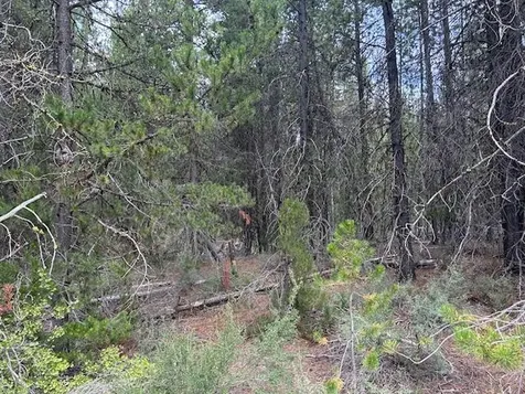 400 Highway 58 Crescent Lake OR 97733