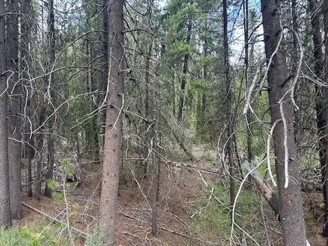 400 Highway 58 Crescent Lake OR 97733