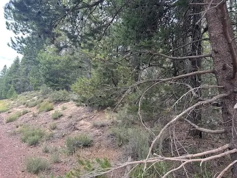 400 Highway 58 Crescent Lake OR 97733