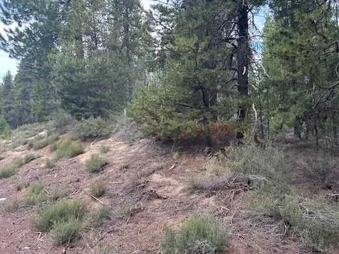 400 Highway 58 Crescent Lake OR 97733