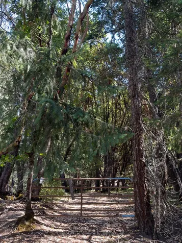 5010 Old Highway 99 S Ashland OR 97520