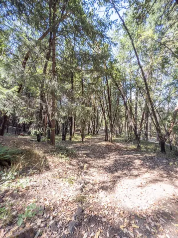5010 Old Highway 99 S Ashland OR 97520