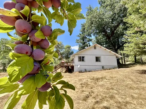 467 Draper Valley Road Selma OR 97538