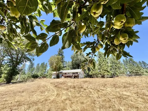 467 Draper Valley Road Selma OR 97538