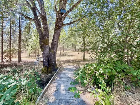 467 Draper Valley Road Selma OR 97538