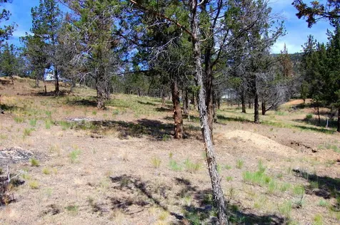 NE Tl 700 Irvine Avenue Prineville OR 97754