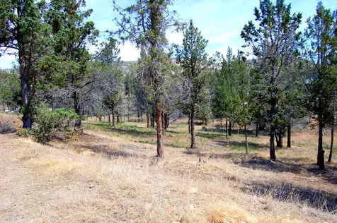NE Tl 700 Irvine Avenue Prineville OR 97754